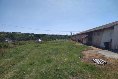 Spațiu comercial, de 972 mp, în Mișca - 1