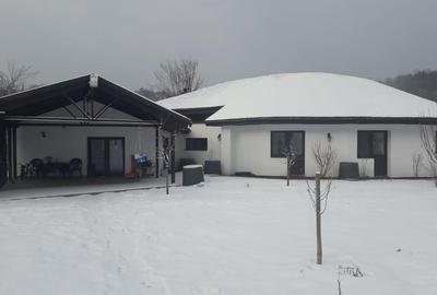 Casa Bogati, Arges, zona Topoloveni Casa Bogati, Arges, zona Topoloveni - 1