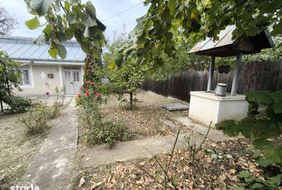 Casă cu 2 camere cu Teren 1300 Mp în Dobrovăț - 6