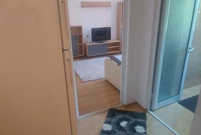 Apartament cu 2 camere semidecomandat în Viziru 1 - 9