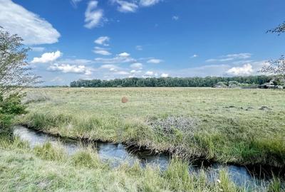 Teren Extravilan - 7