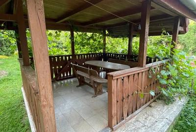 Vand casa jud.alba - 8