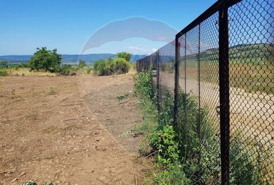 Teren de vanzare in Schela Cladovei, 1760 MP, Intravilan - 2