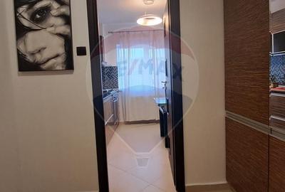 Inchiriere apartament in zona Stefan cel Mare - 3