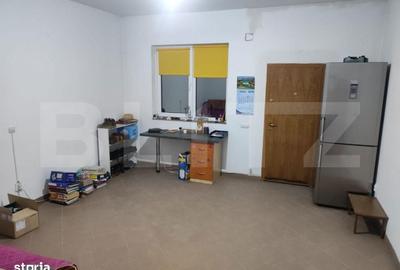 Casă cu 4 camere în Mitocu Dragomirnei - 7