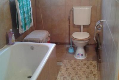 Casă cu 3 camere cu Teren 10000 Mp în Gherteniș - 9