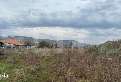 Teren de 9292 mp, în Cuzdrioara - 3