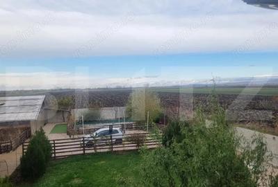 Proprietate multifunctionala,VILA,Teren 28000 mp+afacere piscicultura functionla - 6