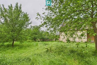 Casă cu 3 camere cu Teren 1547 Mp în Variaș - 12