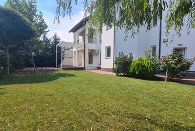 Vila deosebita Iancu Nicolae - British School - 5