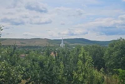 Casă cu 4 camere în Viișoara - 6