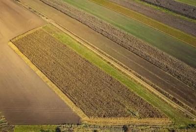 Teren de 3319 mp, în Arcuș - 7