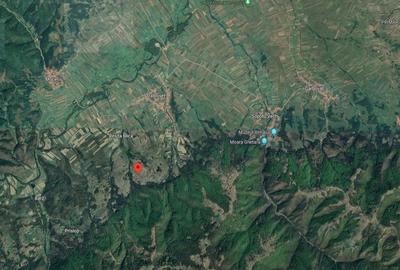 Teren de 3700 mp, în Dalboșeț - 7