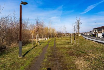 Casă individuală cu 5 camere cu Canalizare în Central - 5