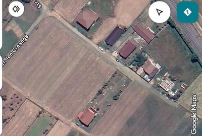Teren Construcții intravilan de 500 mp, în Vințu de Jos - 6