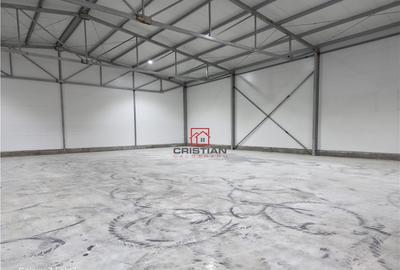 Spațiu comercial, de 600 mp, în Theodor Pallady - 8