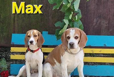 Casă cu 2 camere în Central - 1