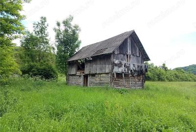 Teren de 16000 mp, în Borlovenii Noi - 5