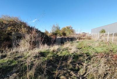 Teren intravilan, Carcea 3081 mp, zona Metro / Robest - 3