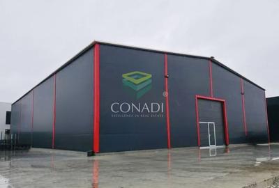 Spațiu industrial, de 595 mp, în Cernica - 1