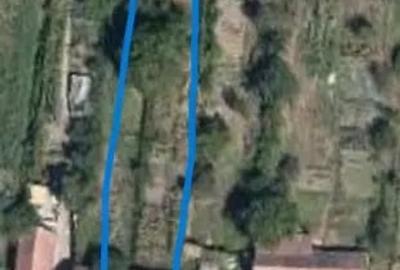 Casă cu 3 camere cu Teren 913 Mp în Daneș - 6