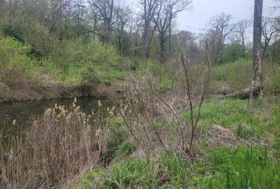 SUPER  OCAZIE TEREN 4000MP DE VANZARE IN SNAGOV CU DESCHIDERE LA LACUL SNAGOV - 12