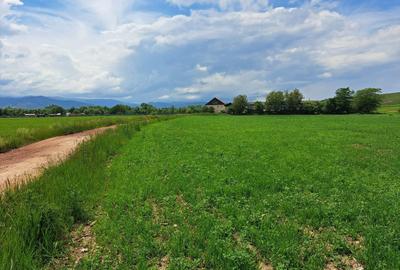Teren agricol extravilan de 500 mp, în Turnișor - 2
