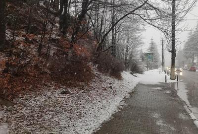 Teren intravilan situat in Busteni - 6