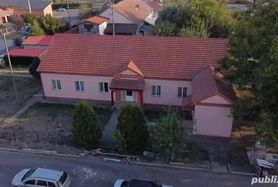 Casa de vanzare Peciu Nou - 3