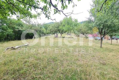 Teren Construcții extravilan de 10040 mp, în Valea Borcutului - 3