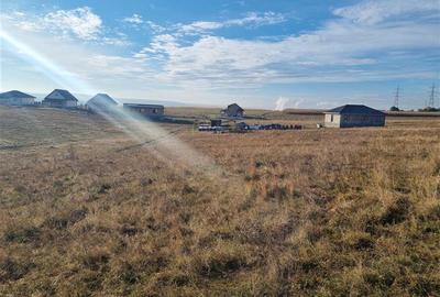 Teren intravilan de 1300 mp, în Sâncraiu de Mureș - 6