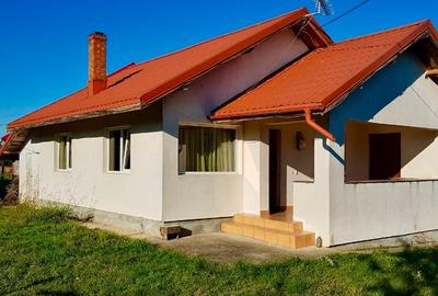 Casa si teren de vanzare (6000 mp) - 2