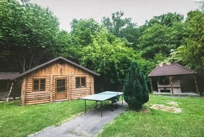 Spațiu comercial, de 700 mp, în Tăuții-Măgherăuș - 3