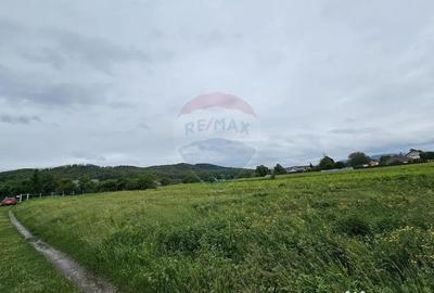 Teren de 1495 mp, în Dobreni - 4