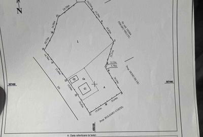 Casă cu 4 camere în Ireasca - 3