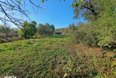 Casă cu 3 camere cu Teren 2600 Mp în Gâlgău - 6