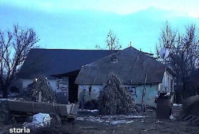 Teren de 4548 mp, în Golăiești - 5