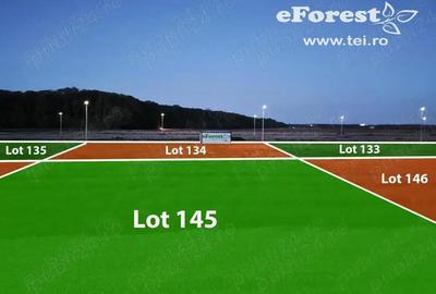 Casă cu Teren 760 Mp în Crevedia - 7