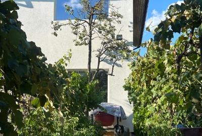 Casă individuală cu 3 camere cu Canalizare în Cornetu - 1