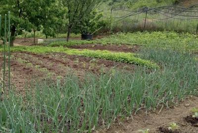 Casă cu 3 camere în Central - 2