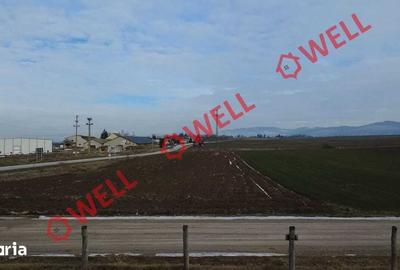 Teren de 4100 mp, în Tușnad - 6