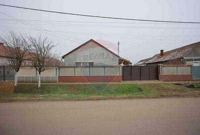 Casă cu Teren 3474 Mp în Sânnicolau Român - 9