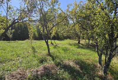 Spațiu comercial, în Central - 7