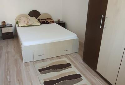 Apartament cu 2 camere semidecomandat în Valea Muscelului - 6