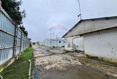 Spațiu industrial, de 683 mp, în Dârvari - 5