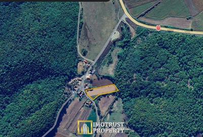 Teren Construcții intravilan de 4961 mp, în Stejar - 10