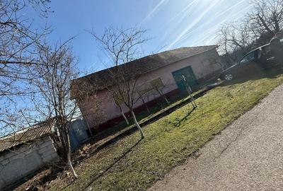 Casă cu 4 camere în Bârsa - 3