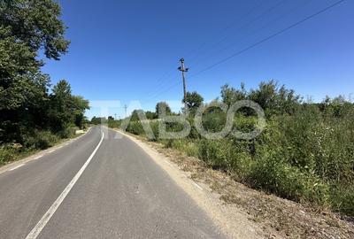 Comision 0% Teren intravilan cu utilitati 2200 mp pe Valea Sebesului - 3