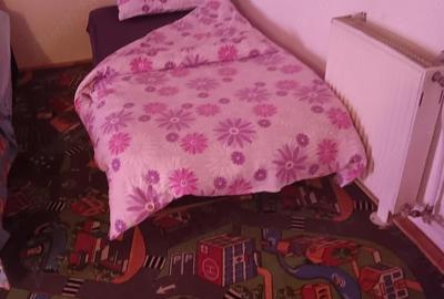 Casă cu Teren 160 Mp în Someșu Rece - 9