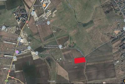 Spațiu comercial, în Albota - 6